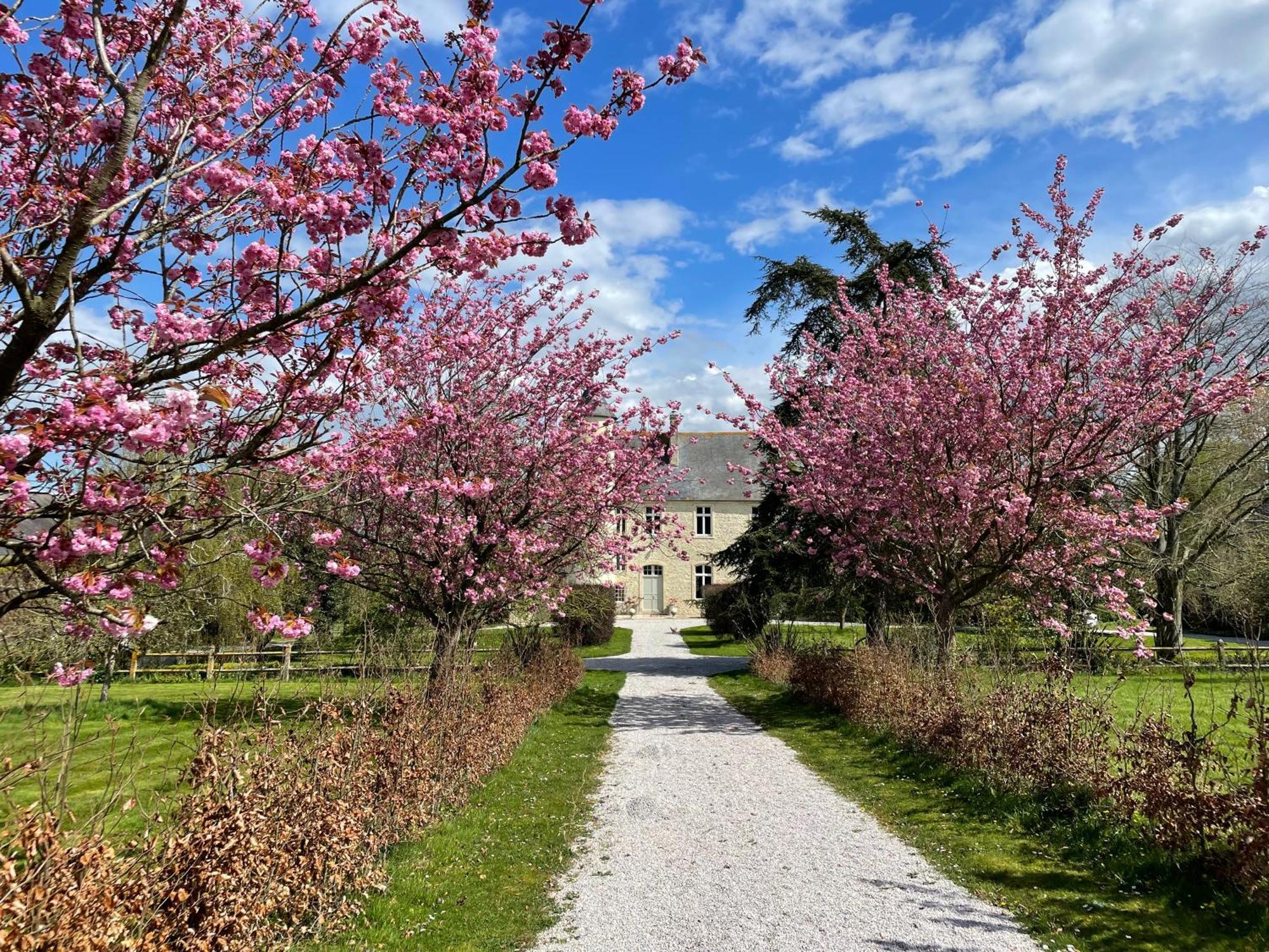 Chateau De Monfréville Exterior foto