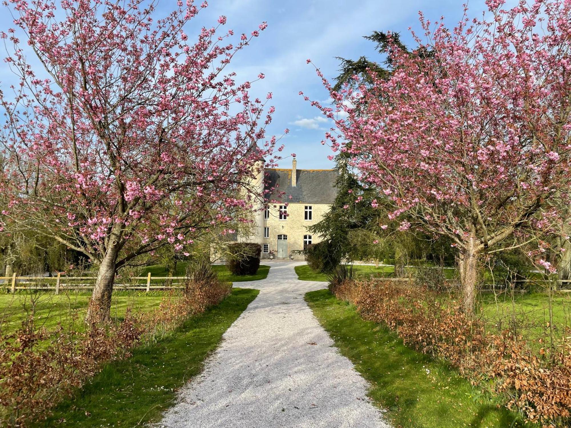 Chateau De Monfréville Exterior foto